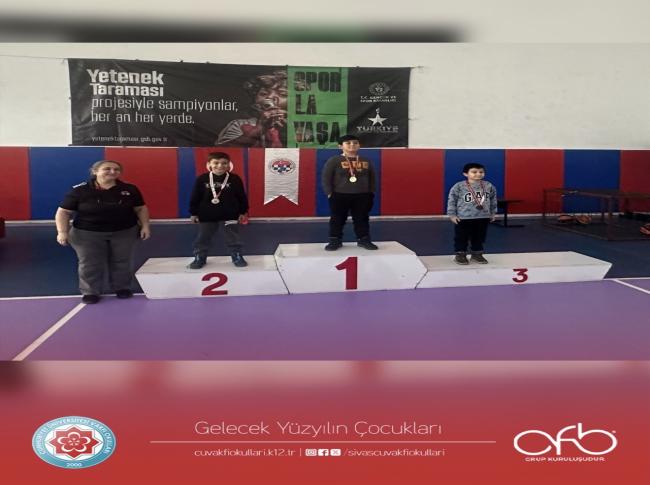 Satranç Turnuvası görseli