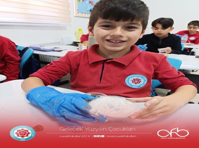  Fen Bilimleri dersinde Fosillerin Oluşum sürecini yaparak yaşayarak gözlemlemiş olduk. görseli