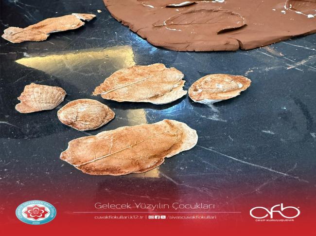  Fen Bilimleri dersinde Fosillerin Oluşum sürecini yaparak yaşayarak gözlemlemiş olduk. görseli