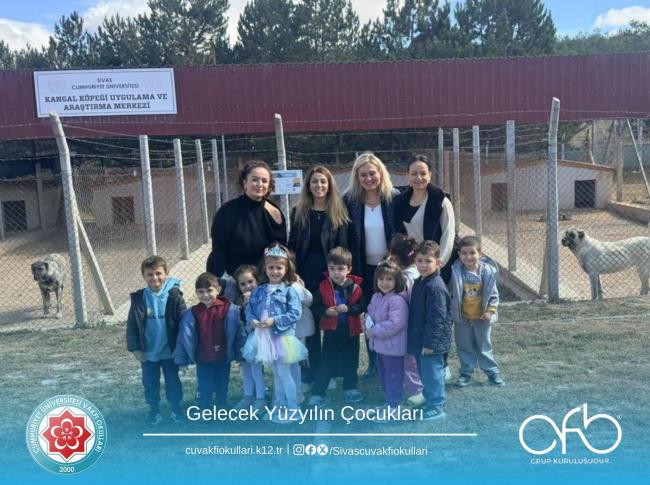 4 Ekim Hayvanları koruma Günü görseli