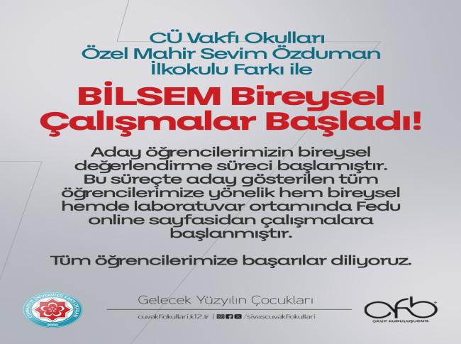 BİLSEM BİREYSEL ÇALIŞMALAR BAŞLADI! görseli